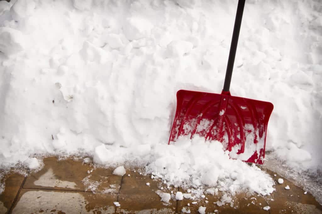 3 Insider Landscaping Winterization Practices You Should Know
