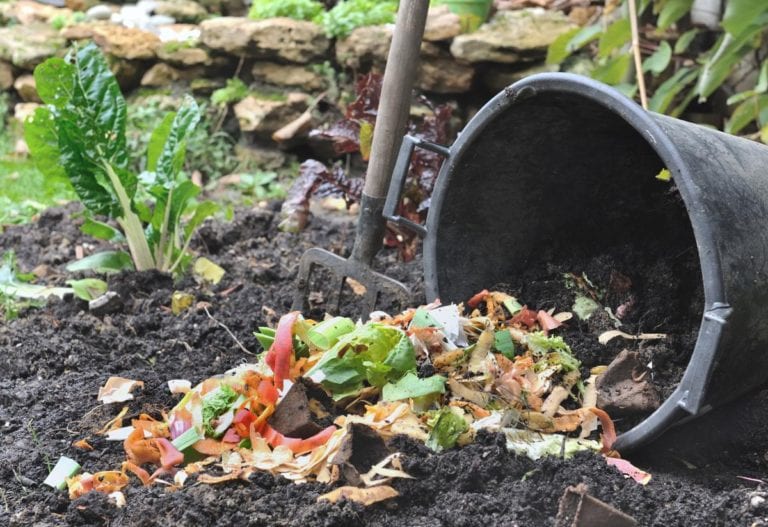 The Benefits of Home Compost for Your Garden ALD