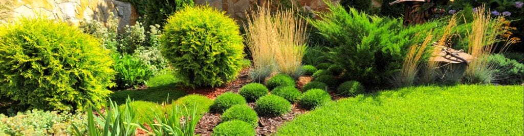 Sunfish Lake Landscaping Services