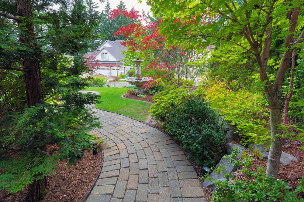Dog-Friendly Landscape Options are Possible