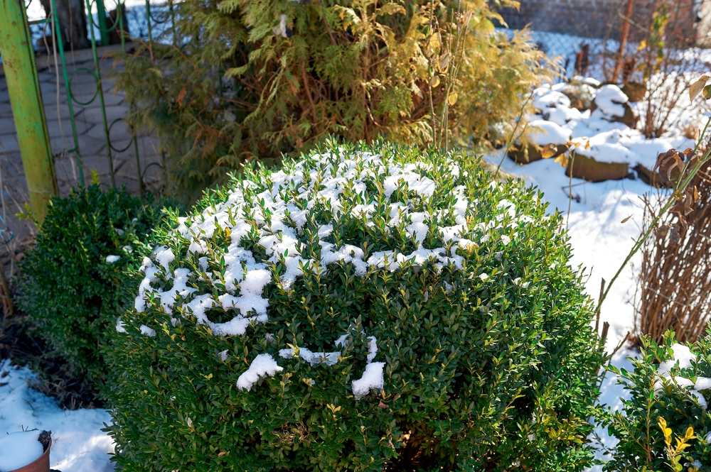 Prepare for Winter With the Right Landscaping Ideas