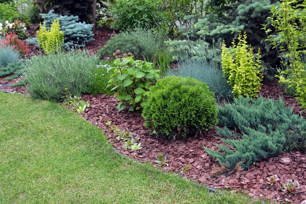 low maintenance landscaping ideas for minnesota homes