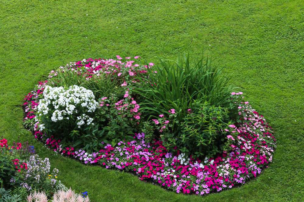 Garden Color Schemes Make the Most of Your Landscape
