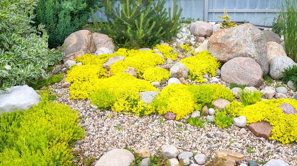 Benefits of Landscaping With Boulders